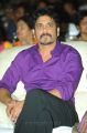 Akkineni Nagarjuna at Nandi Awards 2011 Function Photos