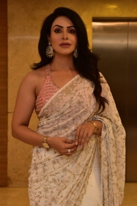 Bhaag Saale Movie Actress Nandini Rai Saree Stills