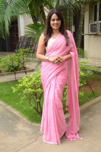 Jetty Movie Actress Nandita Swetha Saree Pics