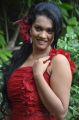 Tamil Actress Nanma Hot Stills in Red Dress