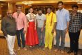 Nannaku Prematho Movie Success Meet Stills