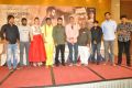 Nannaku Prematho Movie Success Meet Stills