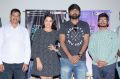 Nannu Vadali Neevu Polevule Pre-Release Press Meet Stills