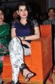 Archana Veda @ Nannu Vadili Neevu Polevule Audio Launch Stills