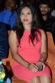 Nannu Vadili Neevu Polevule Audio Launch Stills