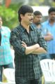 Boyapati Seenu at Nara Rohith Regina Movie Launch Stills