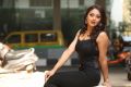 Jai Simha Actress Natasha Doshi Hot Wallpapers HD