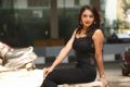 Jai Simha Actress Natasha Doshi Hot Wallpapers HD