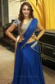 Telugu Actress Natasha Doshi Blue Half Saree Photos