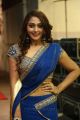 Actress Natasha Doshi Hot Photos in Blue Half Saree