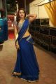 Actress Natasha Doshi in Blue Saree Photos