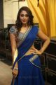 Actress Natasha Doshi in Blue Half Saree Photos