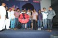 Natudu Movie Audio Launch Function Stills