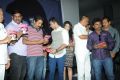 Natudu Movie Audio Launch Function Stills