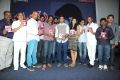 Natudu Movie Audio Launch Function Stills