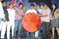 Natudu Movie Audio Launch Function Stills