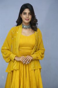 Actress Navami Gayak Photos @ Oo Manchi Ghost Movie Pre Release