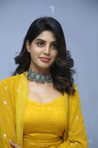 Actress Navami Gayak Photos @ Oo Manchi Ghost Movie Pre Release