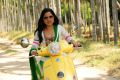 Heroine Srushti Dange in Navarasa Thilagam Movie New Stills
