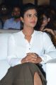 Aishwarya Rajesh @ Nawab Movie Press Meet Stills