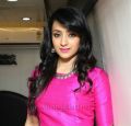 Actress Trisha @ Nayagi Movie Pooja Stills