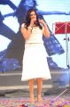 Singer Geeta Madhuri at Nayak Movie Audio Release Stills