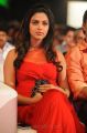 Actress Amala Paul at Nayak Audio Launch Stills