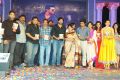 Nayak Movie Audio Release Photos