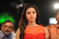 Amala Paul at Nayak Movie Audio Release Photos