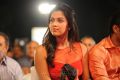 Amala Paul at Nayak Movie Audio Release Photos