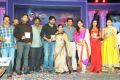 Nayak Movie Audio Release Function Photos