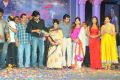 Nayak Movie Audio Release Function Photos