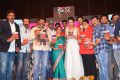 Nayaki Movie Audio Release Function Stills