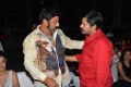 Nayaki Movie Audio Release Function Stills