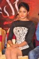 Actress Sushma Raj @ Nayaki Movie Press Meet Stills