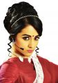 Trisha Krishnan's Nayaki Telugu Movie Stills