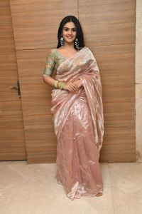 Gam Gam Ganesha Movie Actress Nayan Sarika Silk Saree Pictures