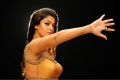 Actress Nayantara Hot Pics in Krishnam Vande Jagadgurum