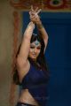 Actress Nayanthara Hot Images in Greeku Veerudu Movie