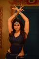 Greeku Veerudu Actress Nayanthara Hot Images