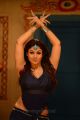 Actress Nayanthara Hot Images in Greeku Veerudu Movie