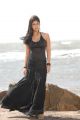 Telugu Actress Nayanthara Hot in Black Dress Stills