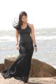Actress Nayanthara Stills in Hot Black Dress