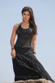 Actress Nayanthara Latest Hot Stills in Black Dress