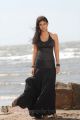 Tamil Actress Nayanthara Latest Hot Stills in Black Dress