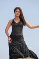 Actress Nayanthara Stills in Hot Black Dress