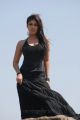 Telugu Actress Nayanthara Latest Hot Stills in Black Dress