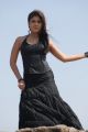 Actress Nayantara Hot Stills in Black Dress