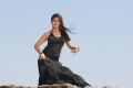 Actress Nayanthara Latest Hot Stills in Black Dress