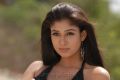 Actress Nayanthara Latest Hot Stills in Black Dress